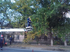 06.11.2025 спасатели Службы спасения  г. Краснодара убрали аварийное дерево с проводов ЛЭП на улице Передовая, 64.